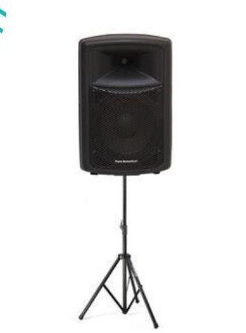 בידורית Pure acoustics ענקית